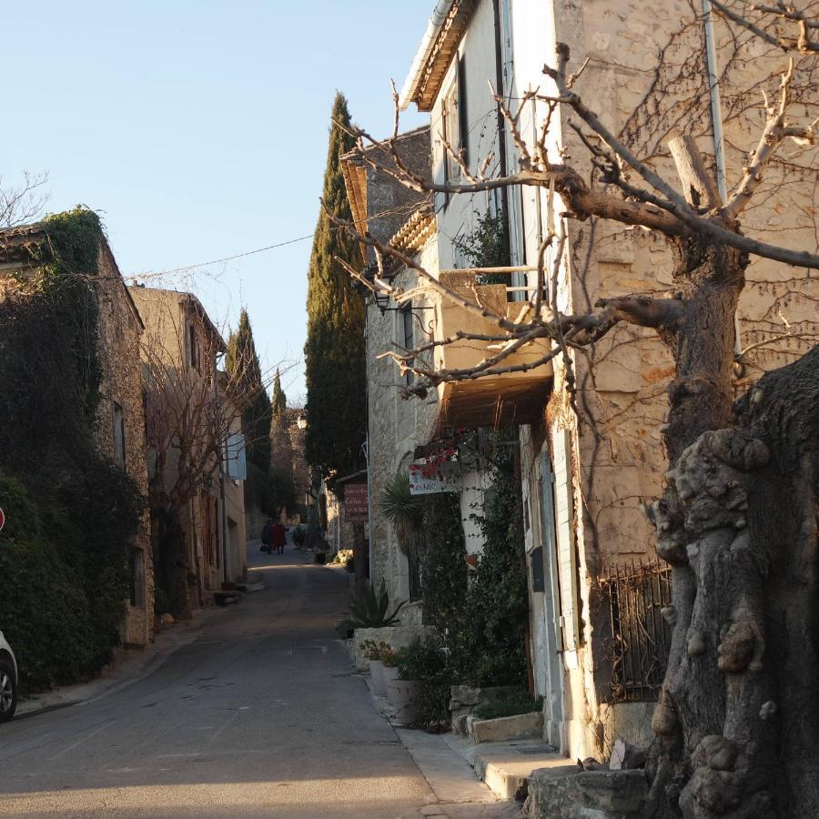 Mas Grimaud - Gite- Studio Et Chambres D'Hotes Familiales Eygalières Kültér fotó