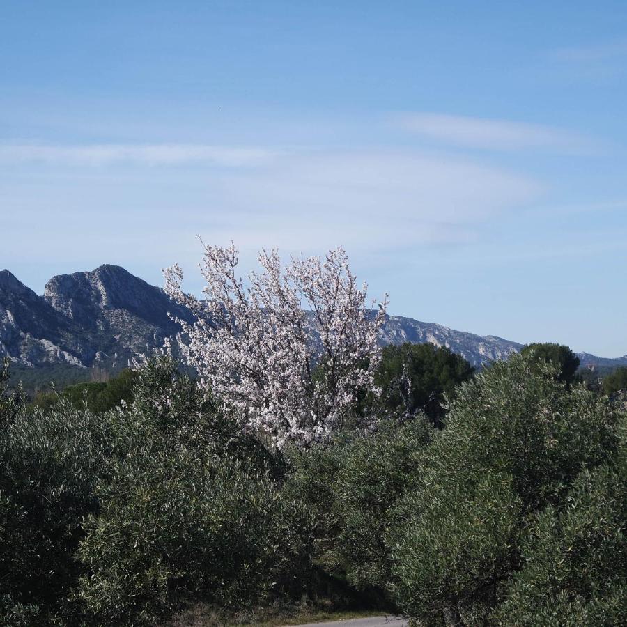 Mas Grimaud - Gite- Studio Et Chambres D'Hotes Familiales Eygalières Kültér fotó